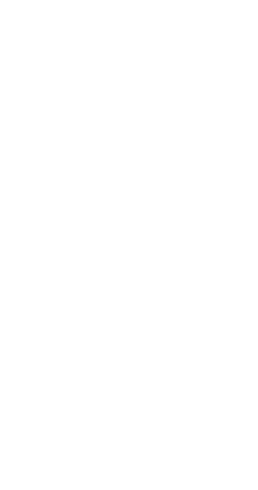 ５人に一人がカスタマイズを選んでいます。※